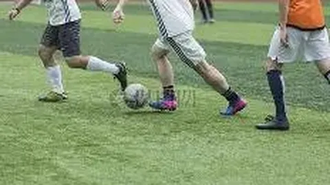 开云体育平台 产品 083550 d05