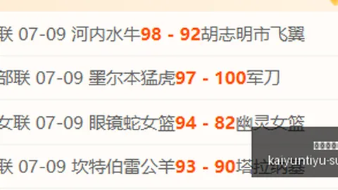 开云体育平台 113001 9