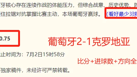 开云体育平台 131425